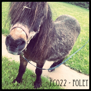 FC22 - Foley
