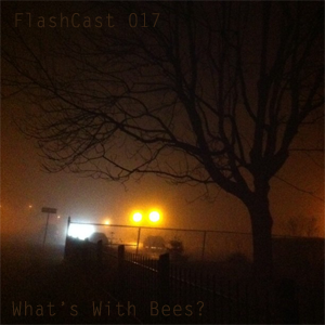 FC017 - What's With Bees?