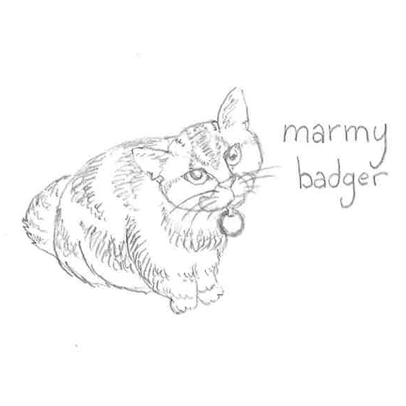 FC120 - Marmy Badger